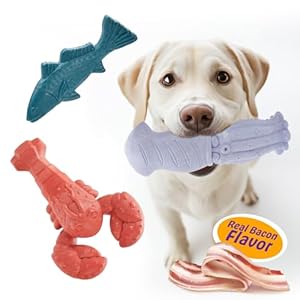 Dog Toys for Aggressive Chewers, 3 Pack Indestructible Dog Chew Toys, Super Chewer Toys with Tough Nylon Bacon Flavor for All Breed Sizes, Teeth Cleaning & Training, Boredom Relief