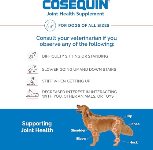 Nutramax - COSEQUIN Joint Health Supplement for Dogs, Maximum Strength - Joint Support - with Glucosamine and Chondroitin, MSM, and Hyaluronic Acid - for Dogs, 250 Chewable Tablets