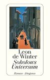 Sokolows Universum (detebe) - Leon de Winter