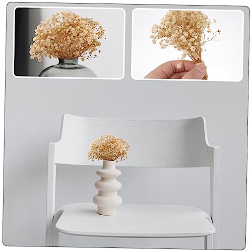 Ramilletes secos de flores de gypsophila para decoración miniatura 4
