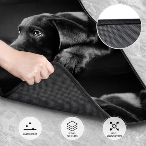 Alfombrillas para coche de neopreno que evitan resbalones y protegen contra el barro 4