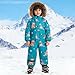 Girls Boys Snow Suits One Ρiece Winter Fashion Graphic Overalls Comfy Waterproof Windproof Toddler Snowboarding Ski Suits
