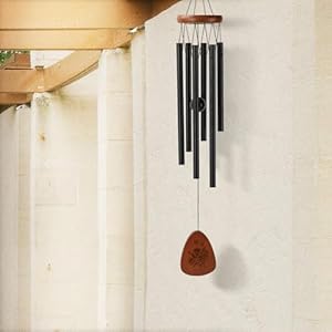 PRSTENLY Aunt Gifts from Niece Nephew, Aunt Wind Chimes Best Aunt Ever Gifts for Aunt Birthday, Auntie Gifts for Mothers Day Christmas Thanksgiving PRSTENLY Aunt Gifts from Niece Nephew Aunt Wind Chimes Best Aunt Ever Gifts for Aunt Birthday Auntie Gifts for Mothers Day Christmas Thanksgiving