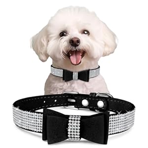 Rhinestone Dog Collar with Bow Tie Dog Bling Collar for Extra Small,Small,Medium Dogs(Black,M)