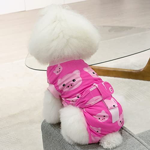 CuteBone Halloween-Hundechirurgie-Erholungsanzug Katze Chirurgischer Strampelanzug weibliche Körperanzüge männlich Verhindern Sie, DASS das Haustier Wunden leckt SSF01XS-DE