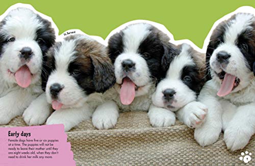 Dk 978-1-4654-7010-2 The Everything Book Of Dogs And Puppies thumb #4