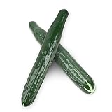 LUEYAO Fake Cucumber, Artificial Vegetables Foam Cucumbers Highly Simulation Lifelike for House Kitchen Party Pub Decoration Cabinet Ornament 2 pcs
