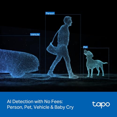Image of Tapo 2K 3MP Indoor /Outdoor Dual Lens Pan /Tilt Security Camera - 130 Wide-Angle + 6mm Telephoto, 360 Pan, Free Person /Vehicle Detection, SD /Cloud Storage, Works w /Alexa & Google Home - HybridCam Duo