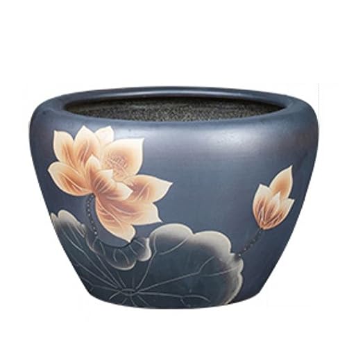 Acuarios Grandes 500L Marca YOtat