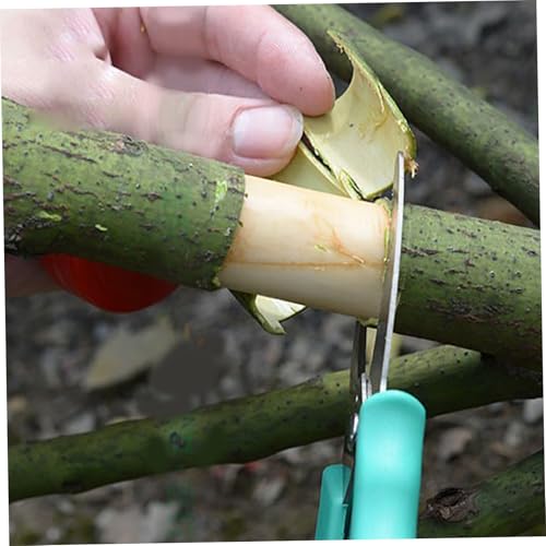 Herramienta de poda para árboles con acero inoxidable miniatura 2