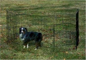 General Cage Deluxe Exercise Dog Pen, 36" H x 28" W