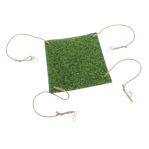 BELLIFFY nbN ঒ ANZT[ ASqQgJQ  A