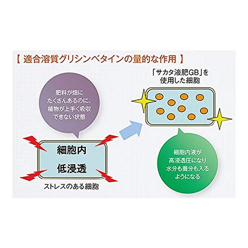 Amazon | サカタのタネ【サカタマモルPRO】サカタ液肥GB 1kg（800ml