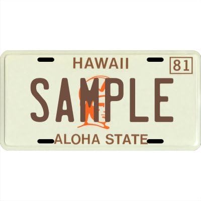 Miniatura 6 de Placa de matrícula de metal personalizada con tu nombre y tu estado, elige entre los 50 estados Maine,Hawái 1981,Washington D.C.,Wyoming,Compra de