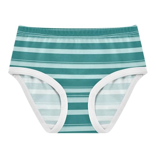 Blue Green Stripe Toddler Girls's Underwear 2T 2300919