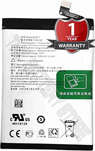 Image of THE BATTERY STORE Orignal blp813 Battery for Oneplus Nord N100 BLP813 5000mAh Battery with 1 Year warrenty and high Capacity Battery Backup (for Oneplus Nord N100)