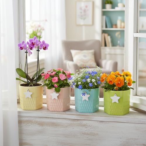 Image of Xtore Playful Textured Ceramic Planter Set of 4 with Star Accent | Colorful Indoor Pots for Desk, Kids Room & Shelf Decor (Pack of 4, Planter only)