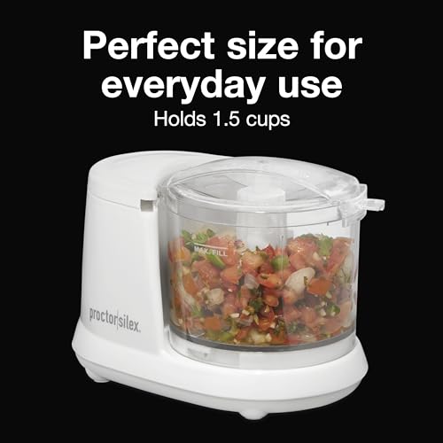 Mini Blender For Pesto