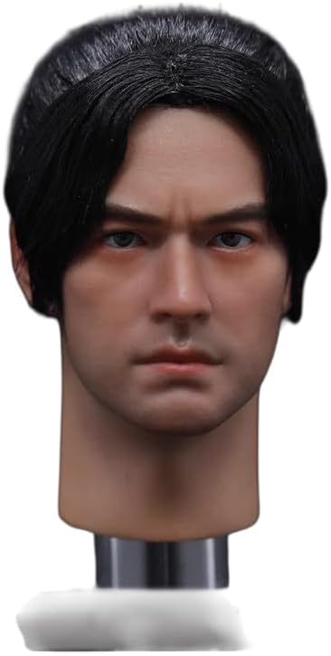 1/6 Scale Head Sculpt,Asian Handsome Man Planted Hair Long Neck Head Carving for 12inch Male Action Figure Body (1.0 Version)