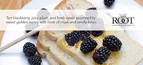 Root-Candles-Scented-Candles-Honeycomb-Glass-Premium-Handcrafted-Beeswax-Blend-3-Wick-Candle-12-Ounce-BlackBerry-Honey