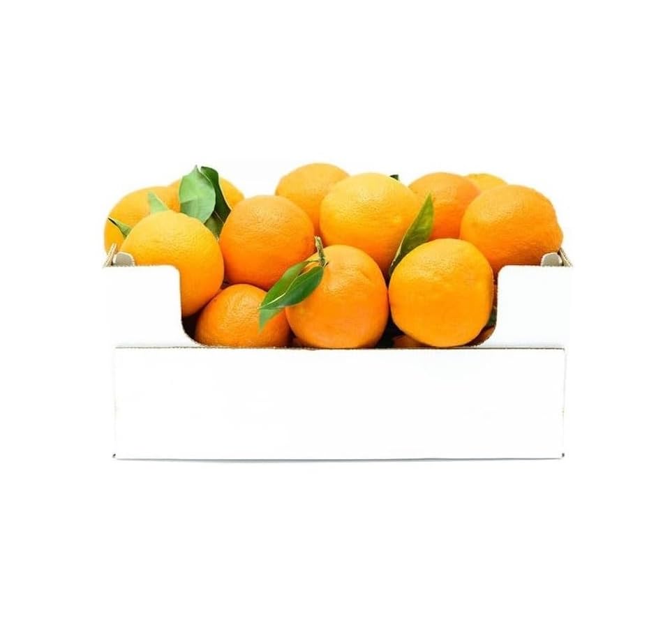 Estock1food Arance Siciliane fresche non Trattate100% Biologici 5KG CALIBRO MISTO Prodotti in Sicilia buccia edibile prodotto top