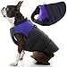 Gooby Padded Cold Weather Vest for Small Dogs with Safe Fur Guard Zipper Closure, Purple, Medium