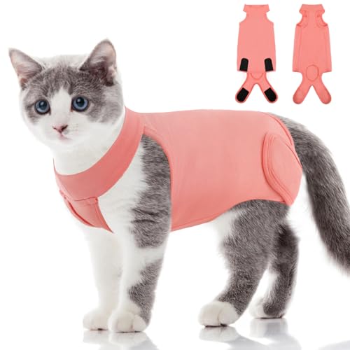 Cat Recovery Suit The 15 best products compared Wild Explained