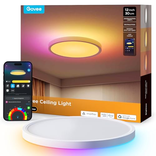 Govee RGBIC LED Plafoniera, Plafoniera Intelligente da 30 cm, 2400LM 2200-6500K Lampada da Soffitto con 16 Milioni di Colori Fai Da te, Lampadario per Camera da Letto, Soggiorno, Corridoio, Cucina