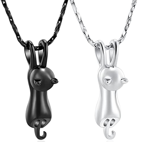Imrsanl Pet Cremation Jewelry for Ashes Memorial Ash Jewelry Keepsake Cat Urn Pendants for Animal Ashes Necklace (2pcs-Silver/Black)