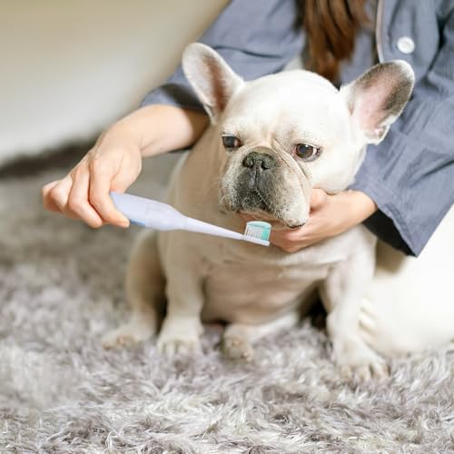 POPETPOP Elektrische Zahnbürste Für Haustiere Ultraschall Haustierzahnpflege Leicht Tragbar Sanft Zu Zähnen Und Zahnfleisch Für Hunde Und Katzen 7.48 Zoll