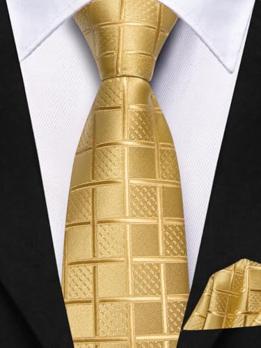Image of Hi-Tie Boys Tie Pre-Tied Pocket Square Set Adjustable Kids Neckties Age 7-11 Years School UniForm Graduation