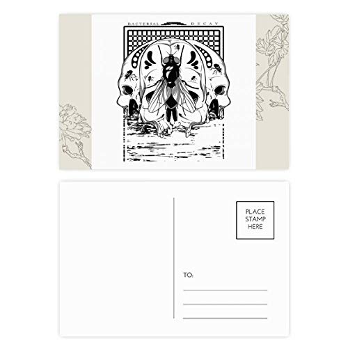 Carte postale squelette DIYthinker pour décorer vos murs et surprendre vos proches