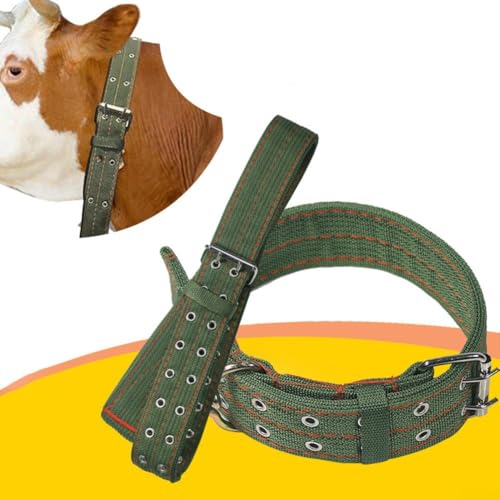 Robustes Rinderhalsband mit robuster Metallschnalle zum sicheren Zurückhalten von Nutztieren (kleines Kuhhalsband)