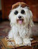 2026 Coton De Tulear Calendar: Adorable & Elegant Dogs: Featuring 13 Premium Images of the Dog Breed for Every Month