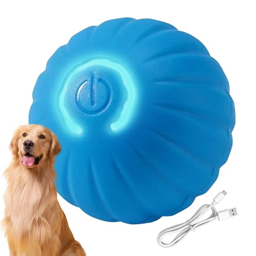 Fellflying ���p��������{�[�� - �����C���^���N�e�B�u �^�C�v�b �[�d�� �y�b�g�Q�[�� - �L�p�{�[����������,���� ���O �V�� �g���[�j���O �^�� ��V�~�����[�V���� �܂Ƃ� �o��V��