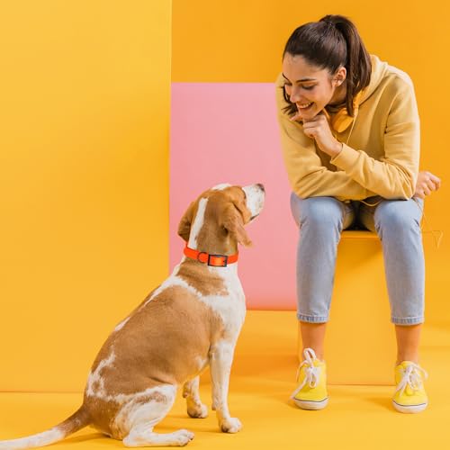 Image of Dogline Biothane Waterproof Dog Collar Strong Coated Nylon Webbing with Black Hardware Odor- Proof for Easy Care Easy to Clean High Performance Fits Small Medium or Large Dogs, Hunter Orange