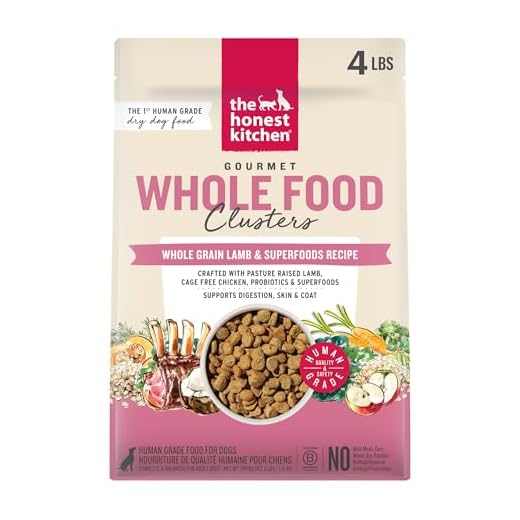 The Honest Kitchen Human Grade Dog Food, Whole Food Clusters Whole Grain Lamb Dry Dog Food, 4 lb Bag