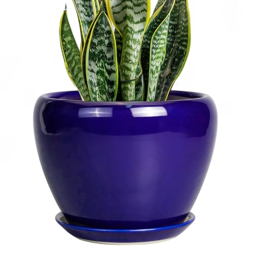 Ceramicfor Ceramic Plant Pot 8 Inch, Planter for Indoor Plants, Royal Blue