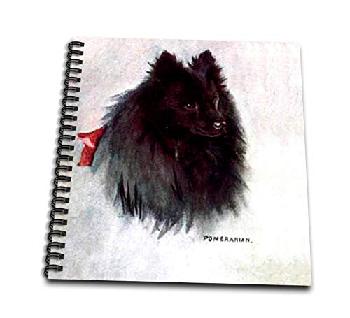 Carnet de souvenirs Poméranie Noir 3dRose : ne perdez plus vos photos