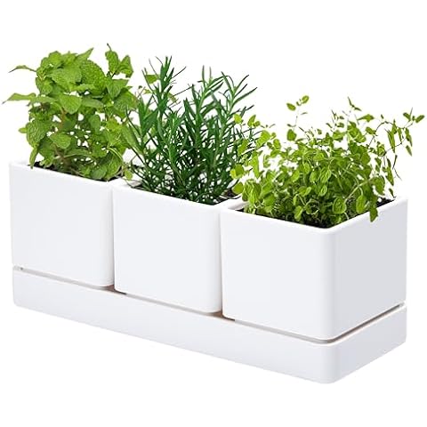 D'vine Dev Herb Garden Planter Set Cover