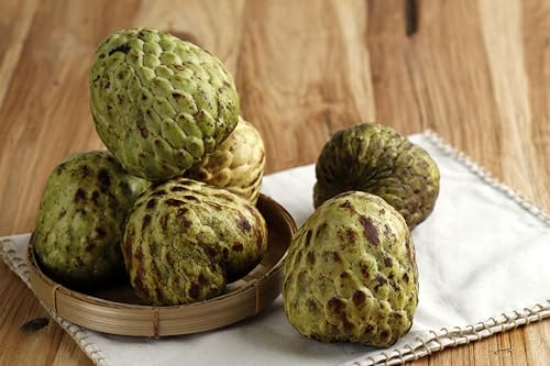 Fresh Green Cherimoyas by RawJoy Farms - Image 2