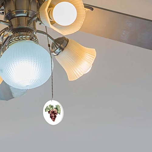 Image of Tuscan Grapes Fan /Light Pull