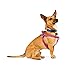 Youly Adjustable Dog Harness Berry Medium/Large