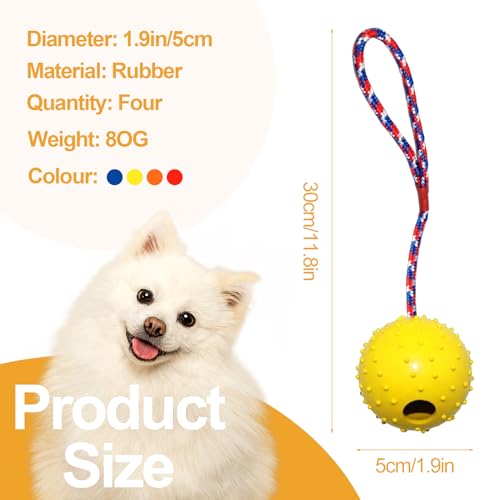 4 Ball mit Schnur Hund, ø 5/30 cm Wurfball am Seil Naturkautschuk, Hundespielzeug Ball mit Seil extrem Weite Würfe, Hundeball Snackball, Hundebälle Kleine Hunde, Große Hunde (Rot Gelb Blau Orange)