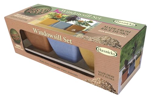 Haxnicks Windowsill Plant Pot Set, Rice Husks, Multi Colour, L29.5 x W10 x H10cm - Image 2
