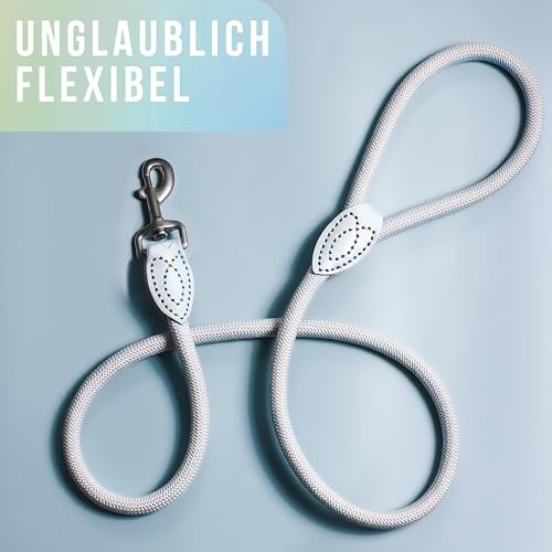 ne&no rope lead 1.2 m (slightly stretchy) for medium to large dogs I training lead I robust dog lead I round braided I dog slip leads I city lead I dog leash aqua 120 cm - Image 4