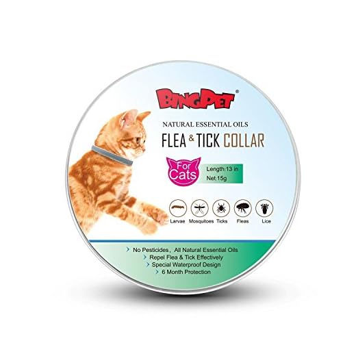 BINGPET Collar de pulgas para gatos y garrapatas, peine para eliminar pulgas y desechos - mejor tratamiento natural para mascotas por