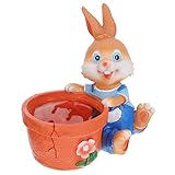 No solo puede ayudarte a cultivar pequeñas flores y plantas, sino también decorar tu habitación, lo que es muy práctico.
