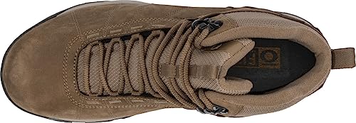 Oboz Men's Shedhorn Mid Insulated B-Dry Waterproof Hiking Boot3