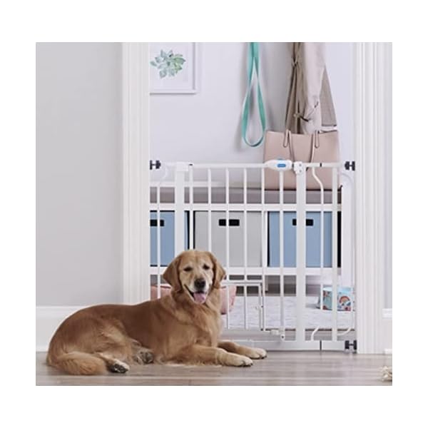 Carlson Extra Wide Walk Through Pet Gate with Small Pet Door, Includes